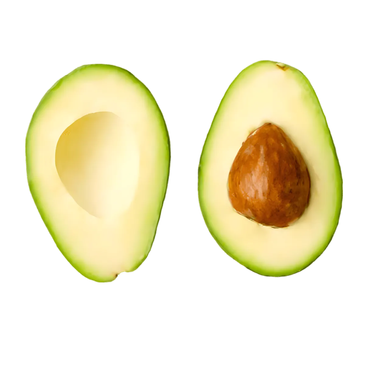 Avocat Haas coupé en deux, montrant une chair verte onctueuse et un gros noyau, parfait pour préparations variées.